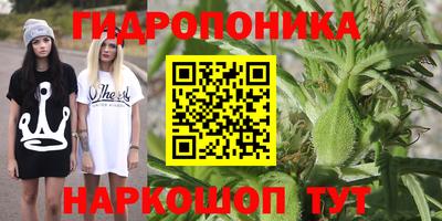 спиды Чебоксары