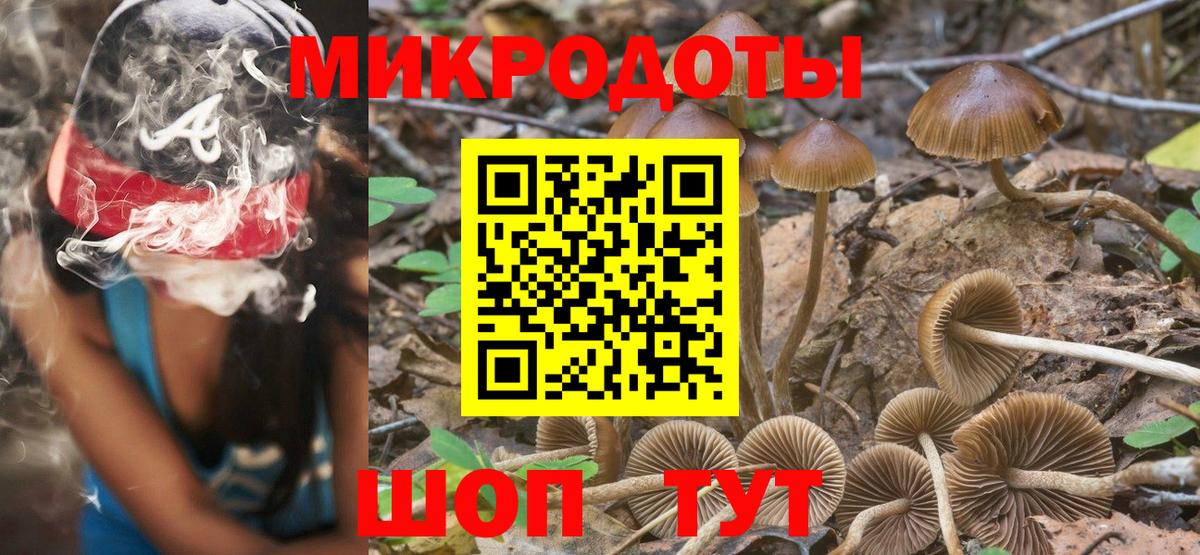 Менделеевск  Псилоцибиновые грибы Psilocybine cubensis  наркота  Вход с VPN 